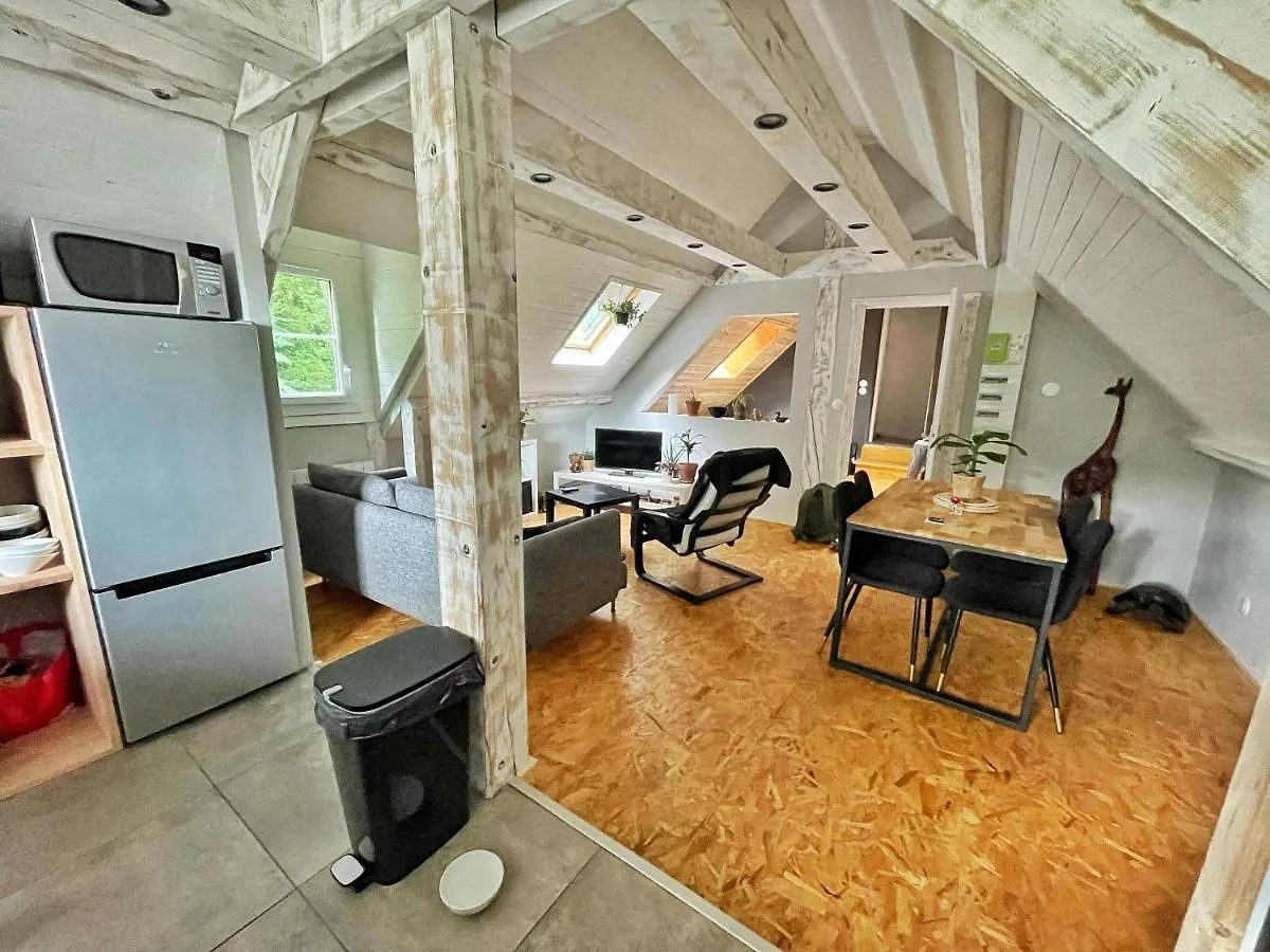 Apartamento Le Tivoli Bagnères-de-Bigorre Francia